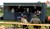 Street Food Festival skudt i gang