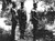 General Olsen, Congo og imperialismen